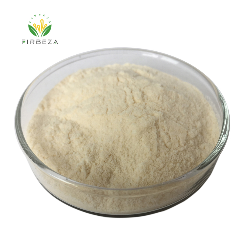 Firbeza Supply Bulk Organic Luo Han Guo Monk Fruit Extract 25% Mogroside V Powder