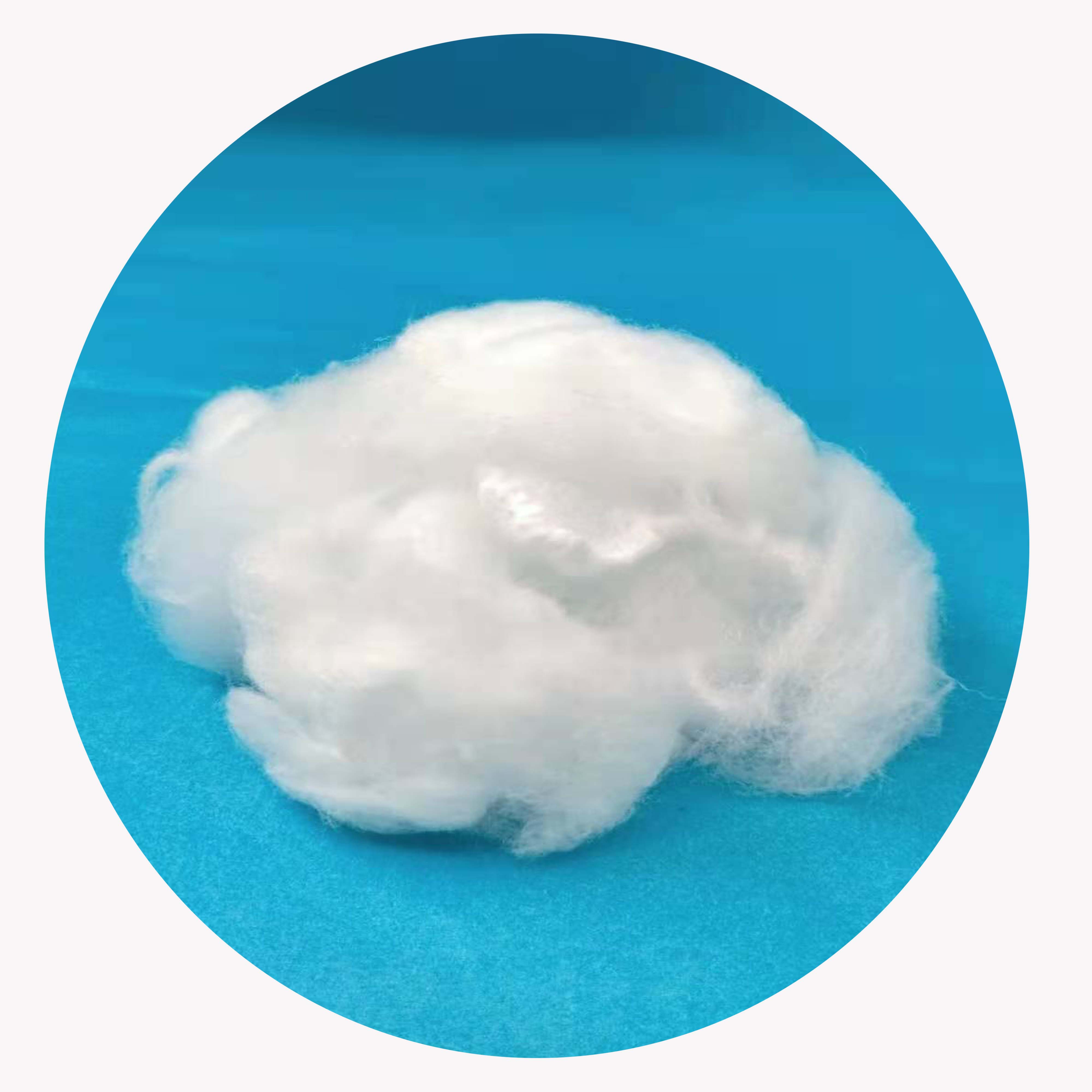 Raw White Nylon 6 Staple fiber for Filling