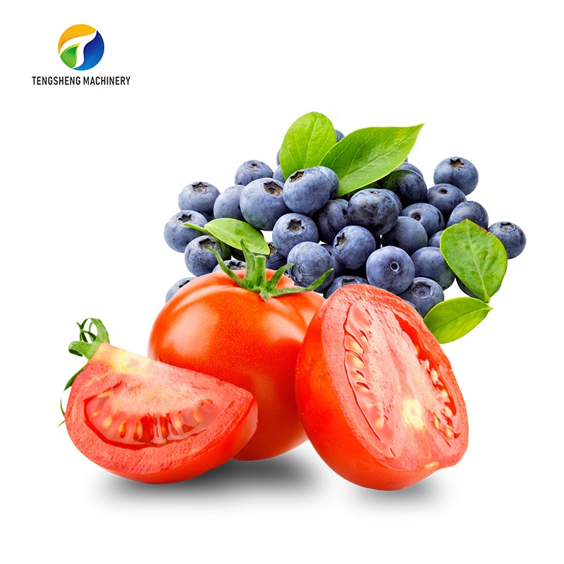 Stainless Steel Fruit Juicer Fruit Juice Extractor Industrial Juicer Machine Apple Guava Tomato Lemon Juicing machine  TS-GZ 