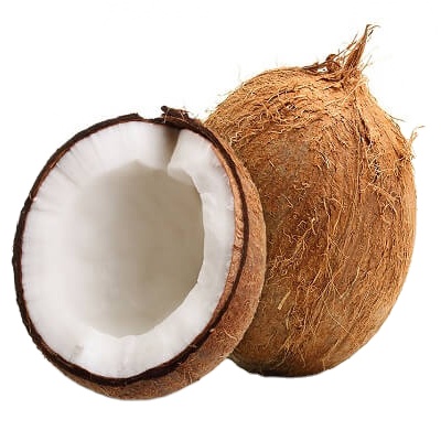 DRIED MATURE OR SEMI HUSKED COCONUT FROM VIETNAMESE FARMS