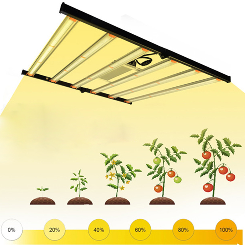 Newest Lm301B Lm301H Led Grow Light For Indoor Plant greenhouse light netherland led grow light