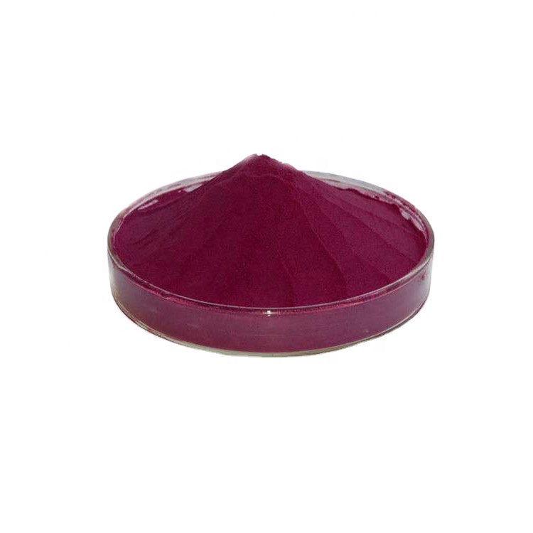cGMP Natural plant extract Bilberry Extract Powder Anthocyanidins Extract