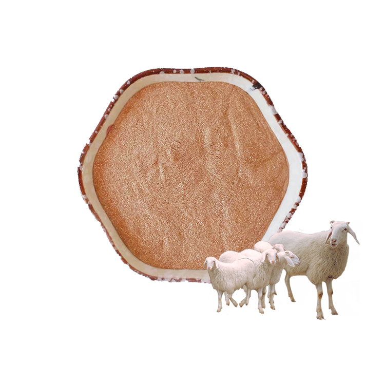 Bacillus licheniformis that reduces the concentration of harmful gases such as ammonia and odor in poultry houses