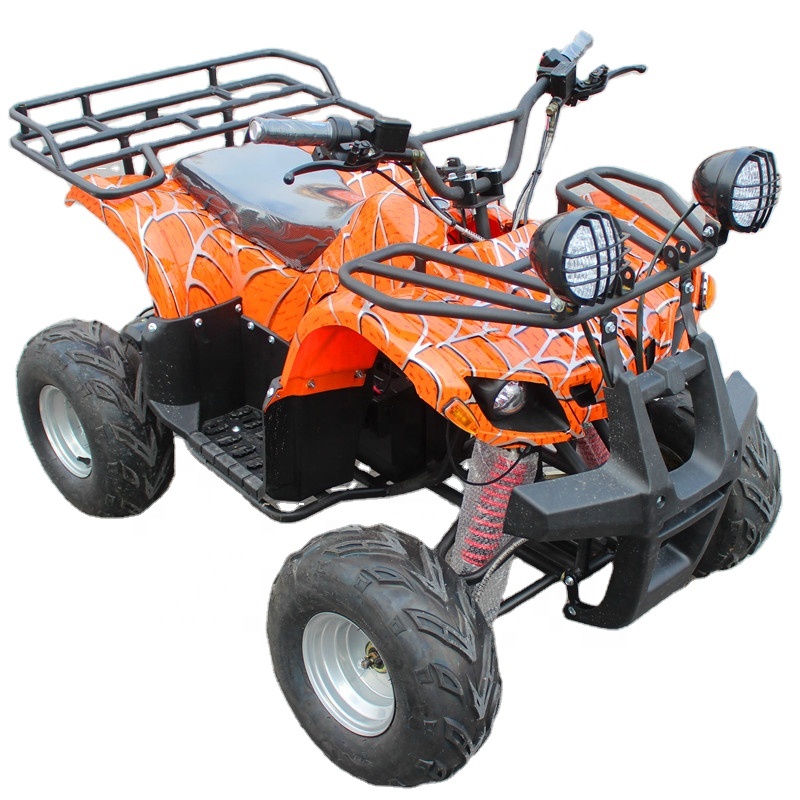 Местности внедорожный ATV ось привода 48V750W Электрический квадроцикл все 500 - 800W автоматический вал привода 48V