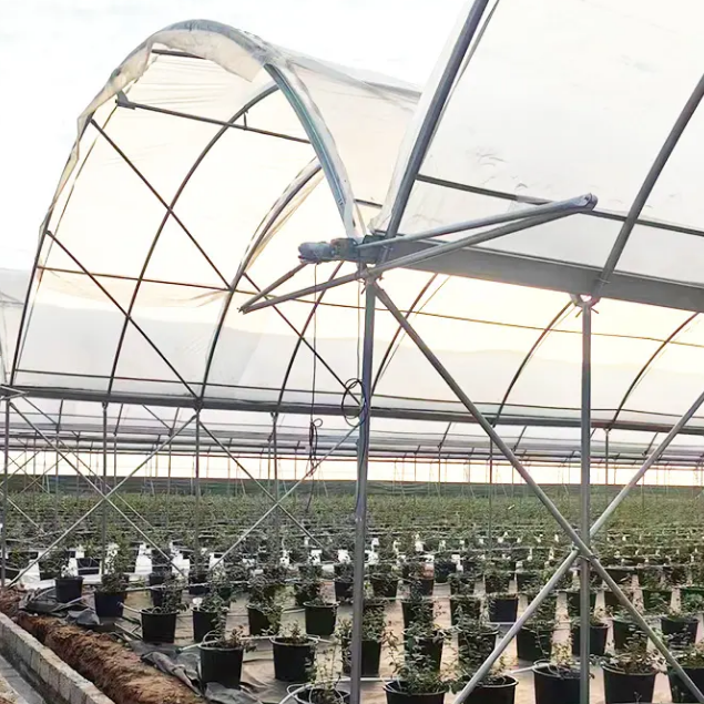 Multi-span High Customized Agricultural Greenhouse With Strong Load-bearing Hot-dip Galvanized Steel Frame Blueberry Greenhouse