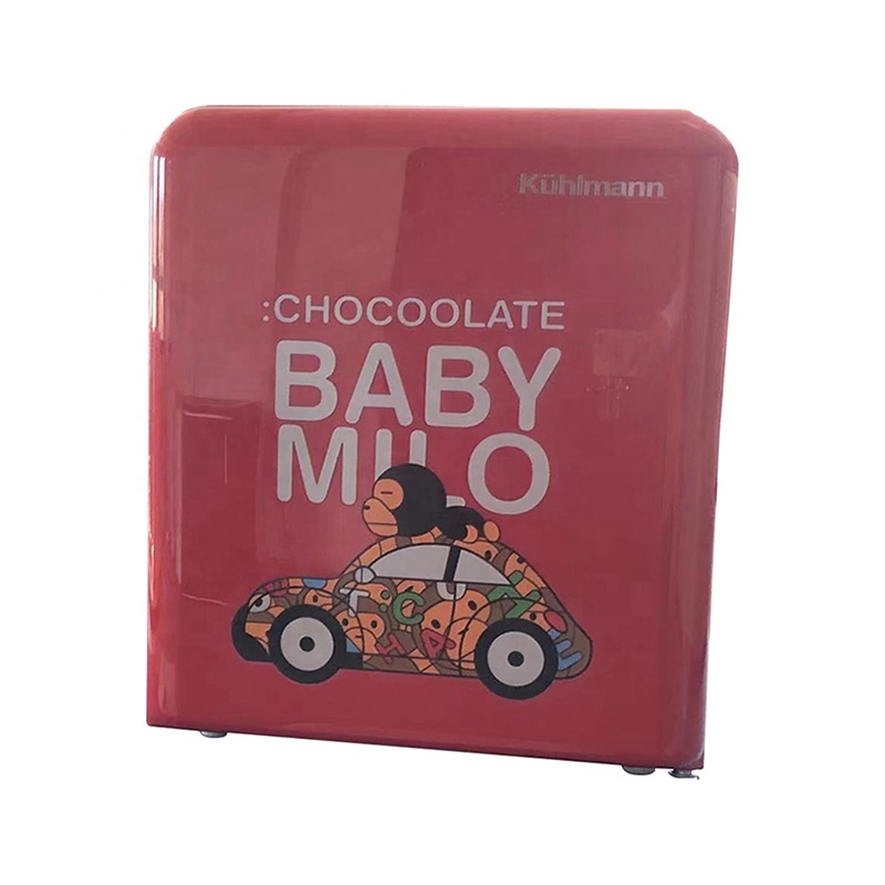 Mini Refrigerator Plastic Door Environmentally Friendly Car Outdoor Picnic Mini Refrigerator