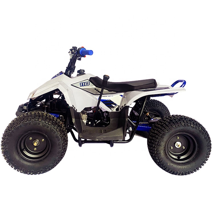 2020 детское мини-платье 110cc Quad фабрика производит внедорожный Atv для продажи