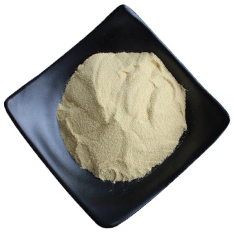 100% Natural Anti-aging Sea Cucumber Extract Powder for Cosmetics