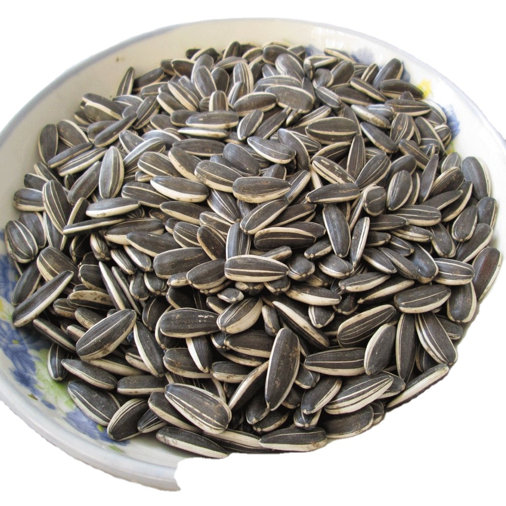 American standard quality 680 tons sunflower seeds for sale