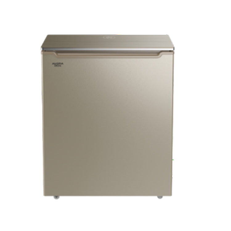 Hot Selling High Quality Top-Class Chest Freezer Defrost Refrigerated Freezer Refrigerator Energy-Saving