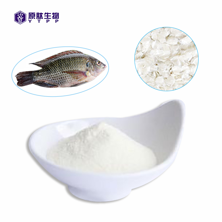 Fish scale collagen peptidencollagen protein powder for health supplement