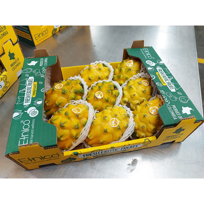 Недорогие свежие фрукты желтого дракона Pitahaya, экзотические натуральные фрукты