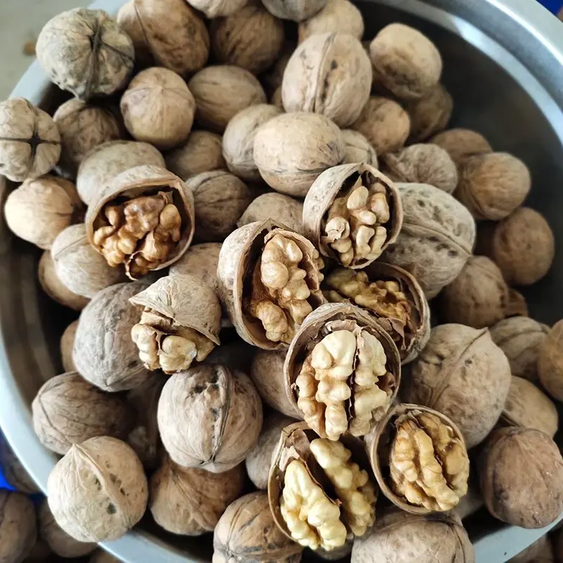 Factory Price Wholesale Chinese Dried Fruit Xinjiang 185 Walnuts