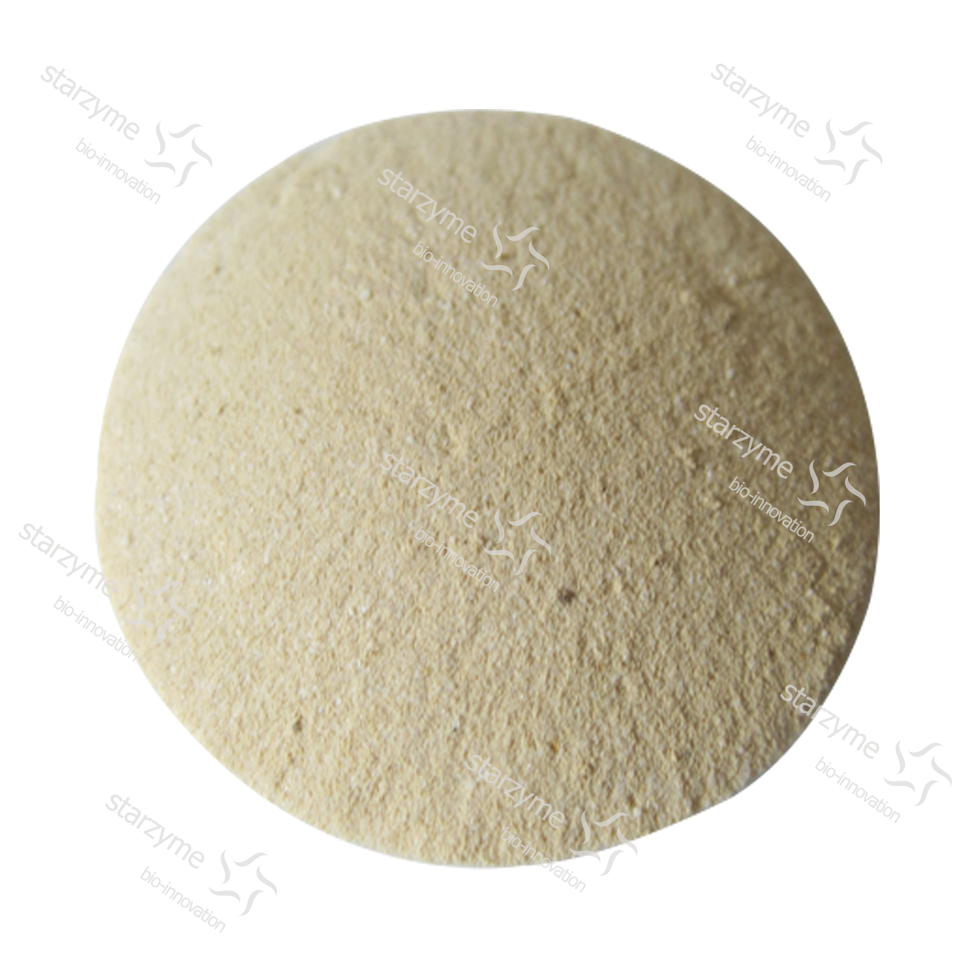 Glucoamylase Enzyme Factory Feed Grade Enzyme Powder