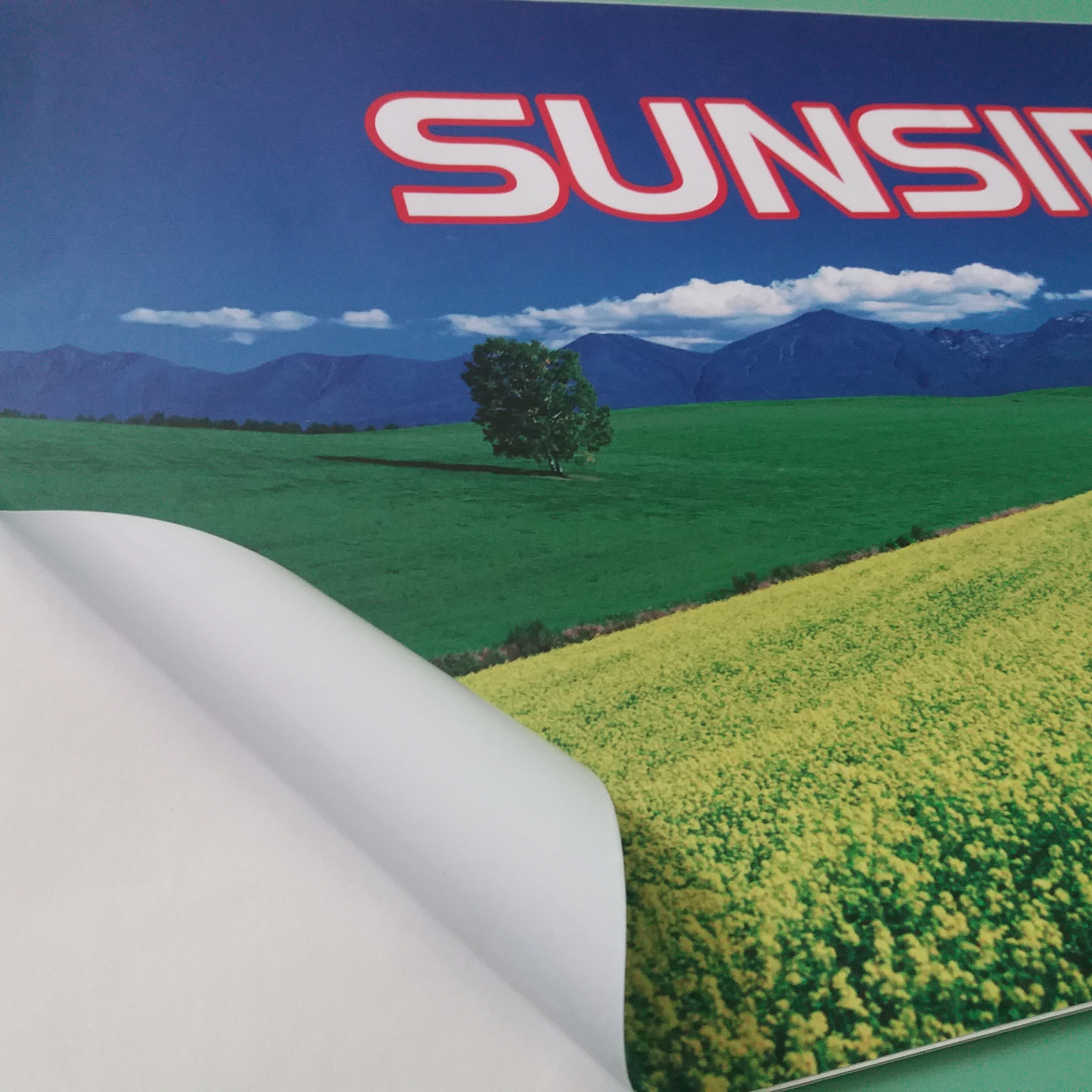 Custom waterproof sticker vinyl stickers for car