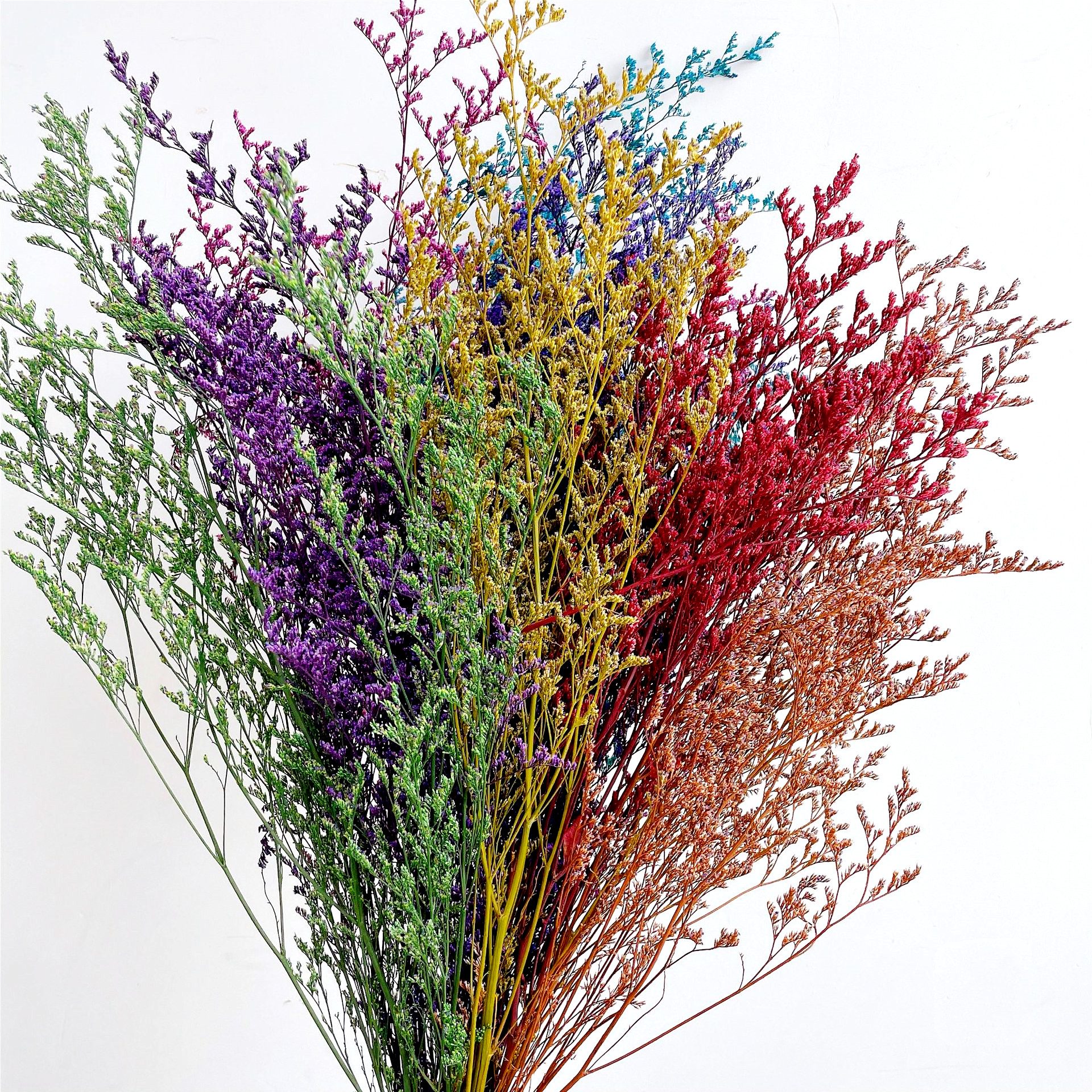 preserved natural dried flowers wholesale caspia Misty Limonium Preserved Limonium Flowers grass preserved flowers and plants
