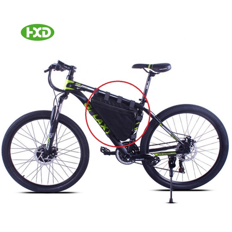 Hot Sale Rechargeable 1000W Ebike Triangle Operated 48V 20Ah Li-Ion Electric Bike Battery Pack