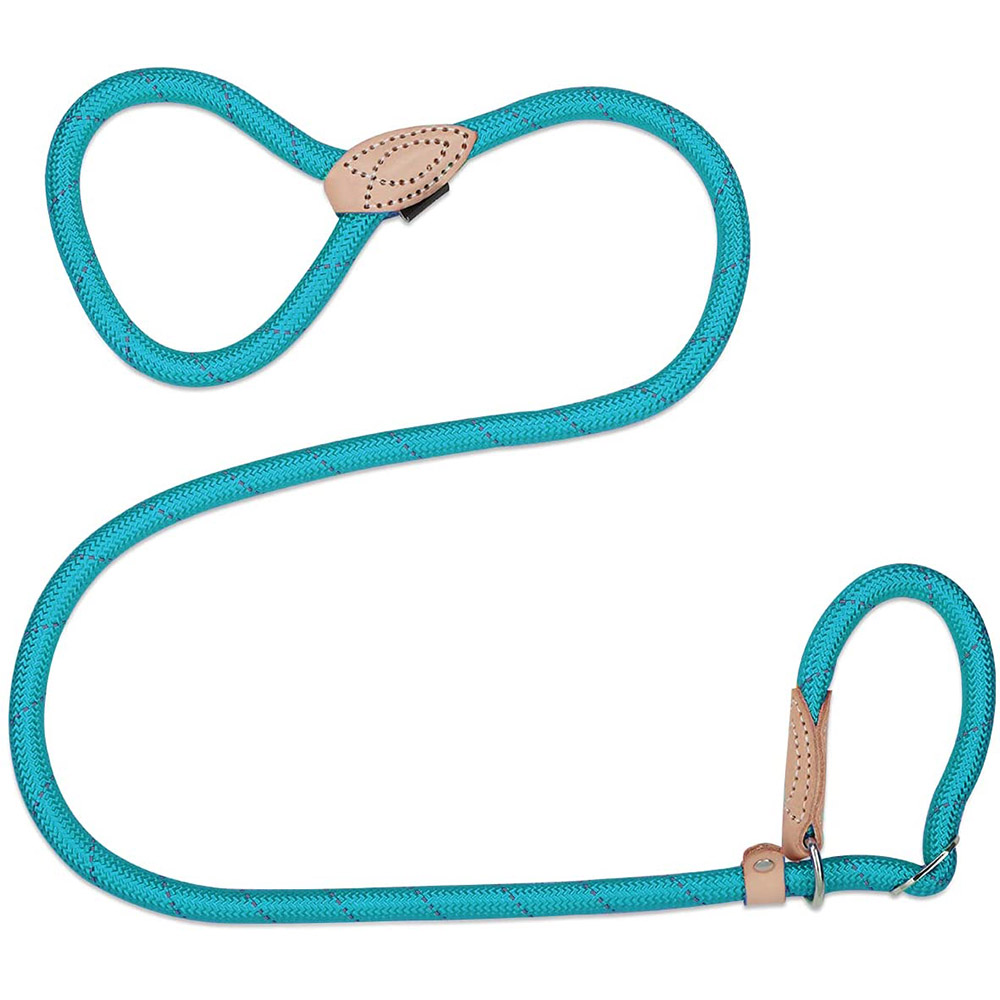 OEM ODM Wholesale Nylon Pet P Rope Pet Chain Leads Puppy Dog Training Leash