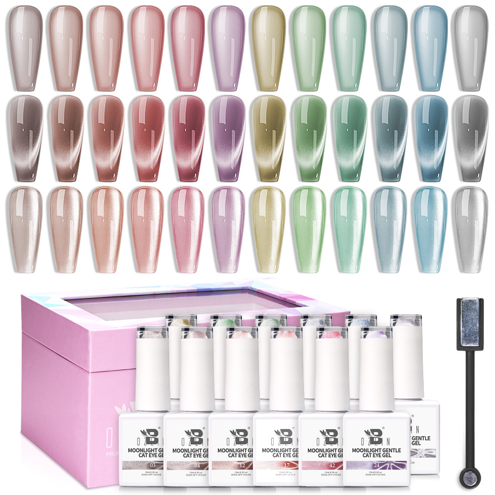 BOZLIN New Arrival 10ml Moonlight Ceramic Cateye Gel Polish Kit OEM Your Own Brand Cat Eye Gel Nail Polish Set