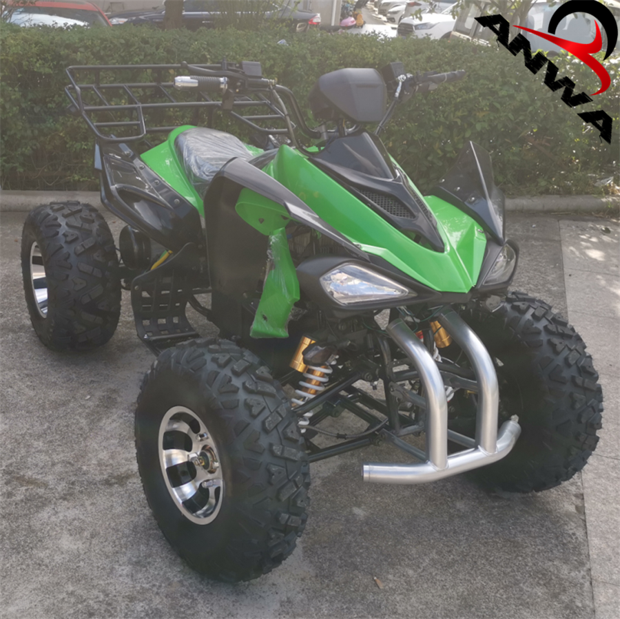 High Quality Newest Cars Adults Electric ATV 60v 3000w With Cheap Price ATV