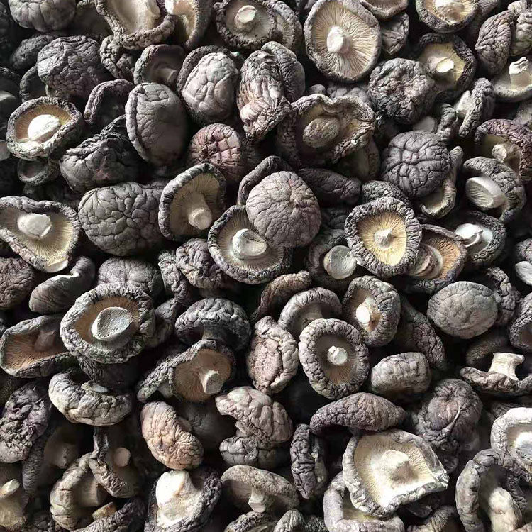 Оптовая продажа, сушеные продукты shiitake в китайском стиле, Органическая упаковка