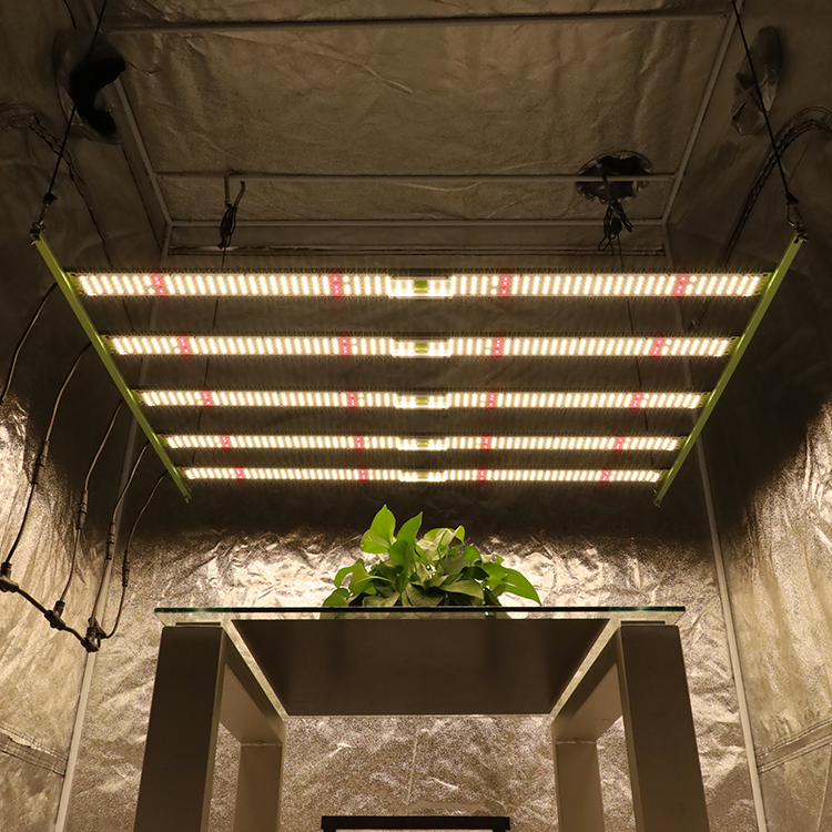 KingBrite W55 600W светодио дный светильник для выращивания LM301H Quantum Bar mix CREE 660NM IR LG UV Full Spectrums для комнатных растений