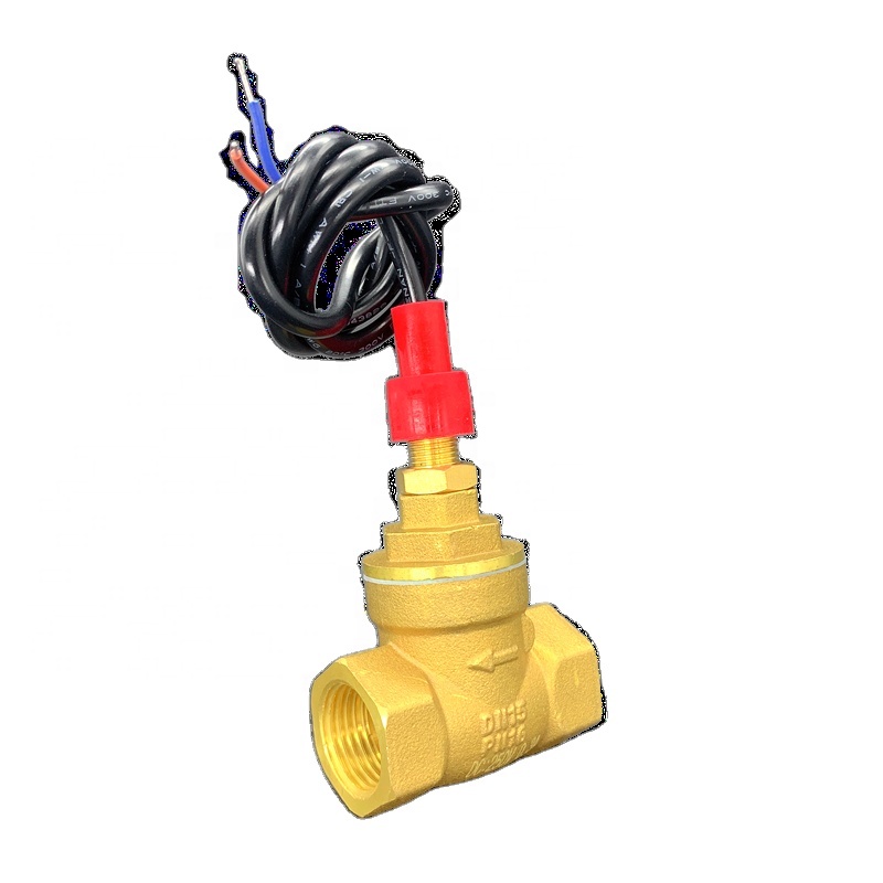 DN15 G1/2 Air energy central air conditioning check valve copper flow switch