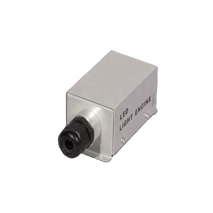 Fiber optic light engine with fiber optic bundle