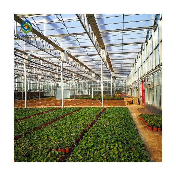factory supply good quality Eco-friendly waterproof garden greenhouse for garden