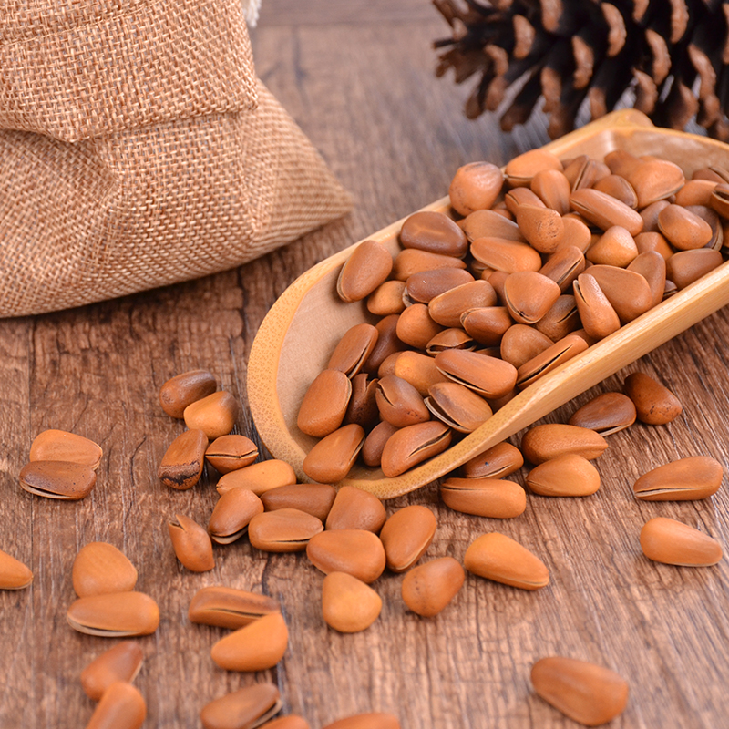 Wholesale pine cedar nut in a shell