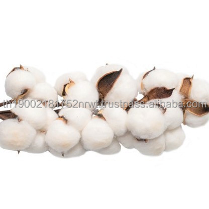 Raw cotton Fiber Strong Resilience Pure Cotton Agriculture Natural Product Cloths Cotton Fabric Material