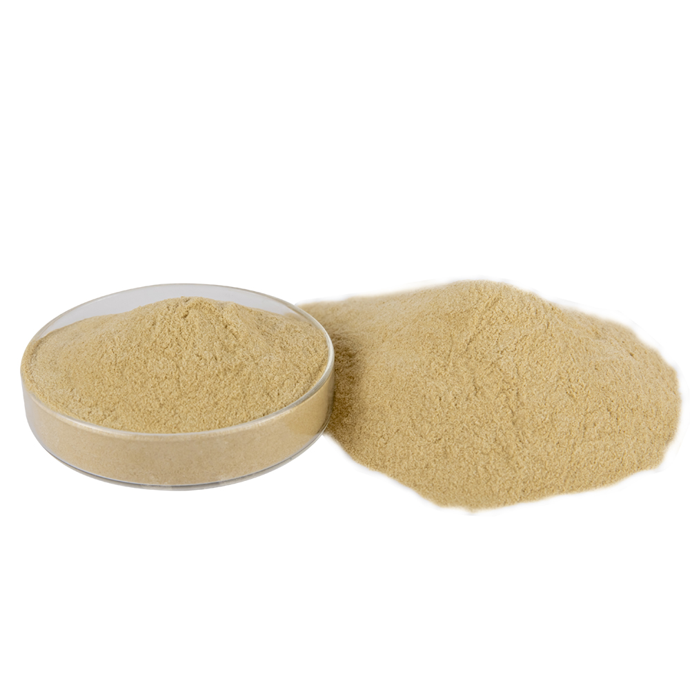 Competitive price advantage manufacturer of charcoal binder adhesive powder