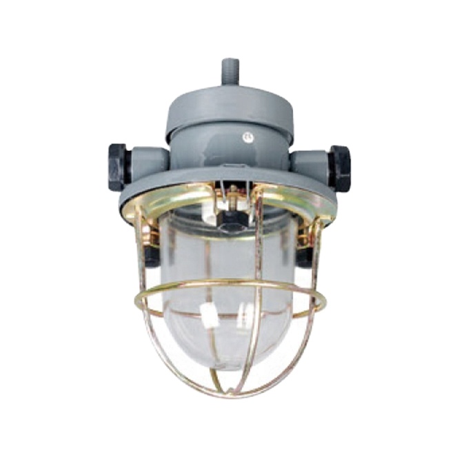 CCD7 IP55 E27 60w Marine Steel Incandescent Pendant Ceiling Light