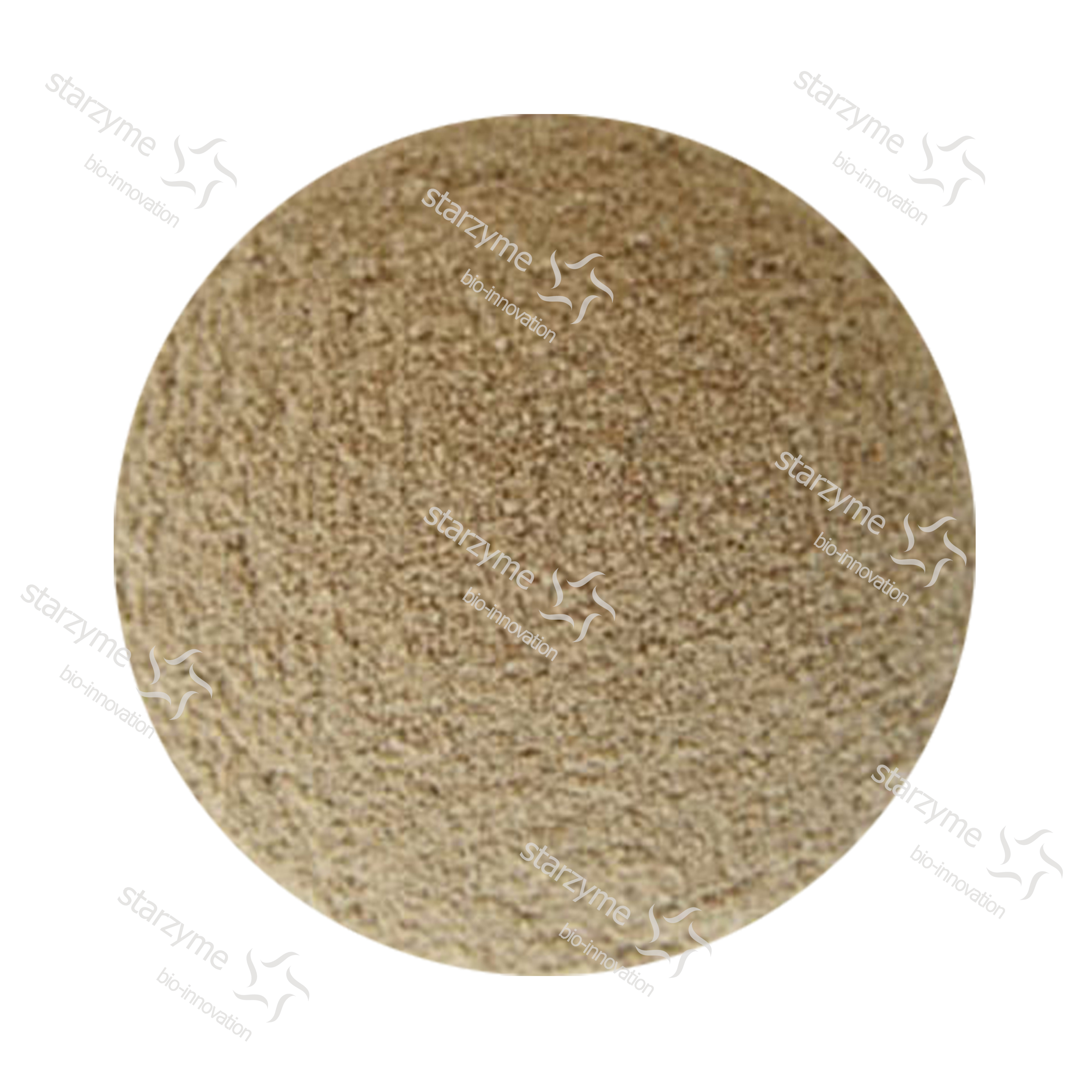 High Concentration Acidic Protease Powder Feed Enzyme Factory