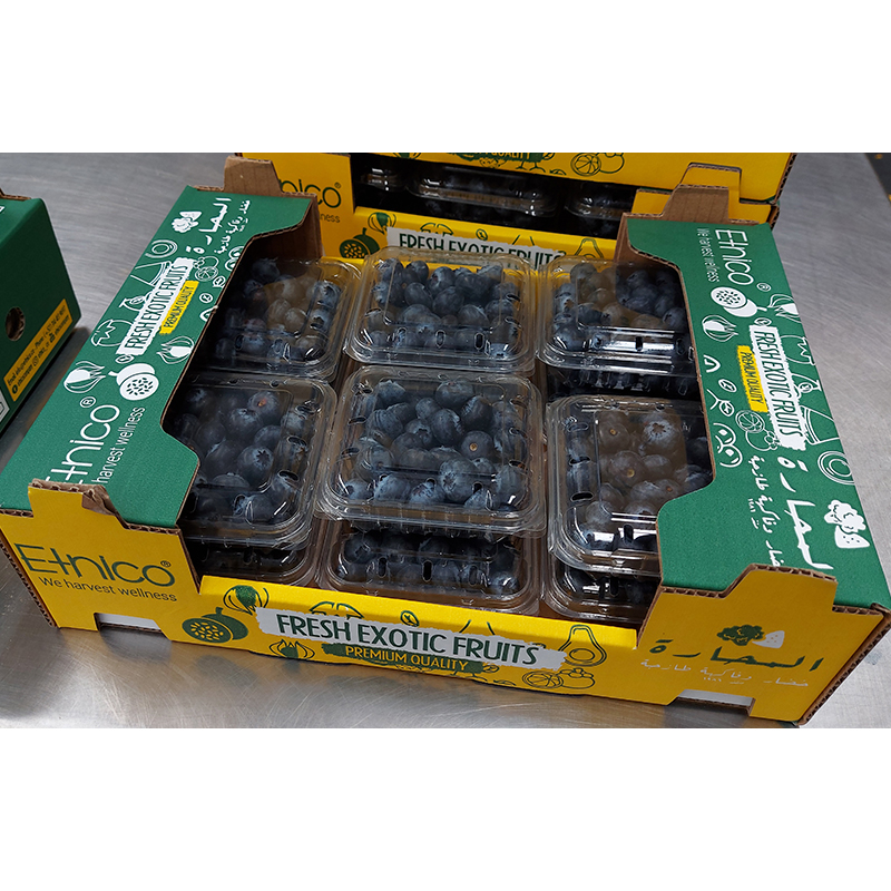 100% Natural Colombian Blueberry Fresh Fruits Wholesome Berries
