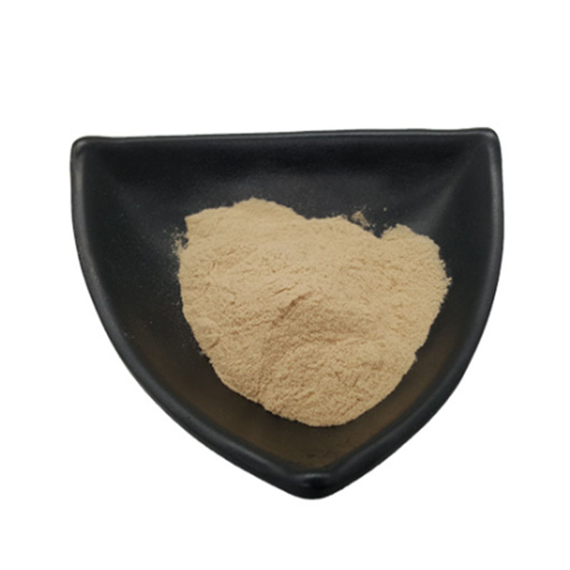 wholesale Selenium Enriched Yeast powder Food Additives