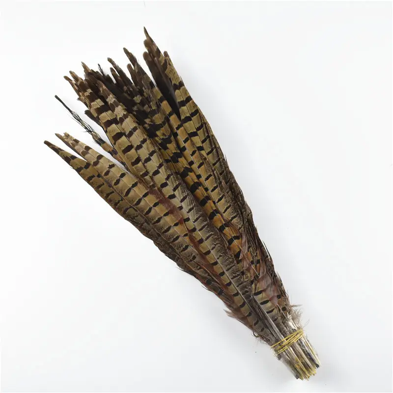 Factory Wholesale price 45-50CM Natural Ringneck Pheasant Tail Feathers For Carnival Costumes Decorate