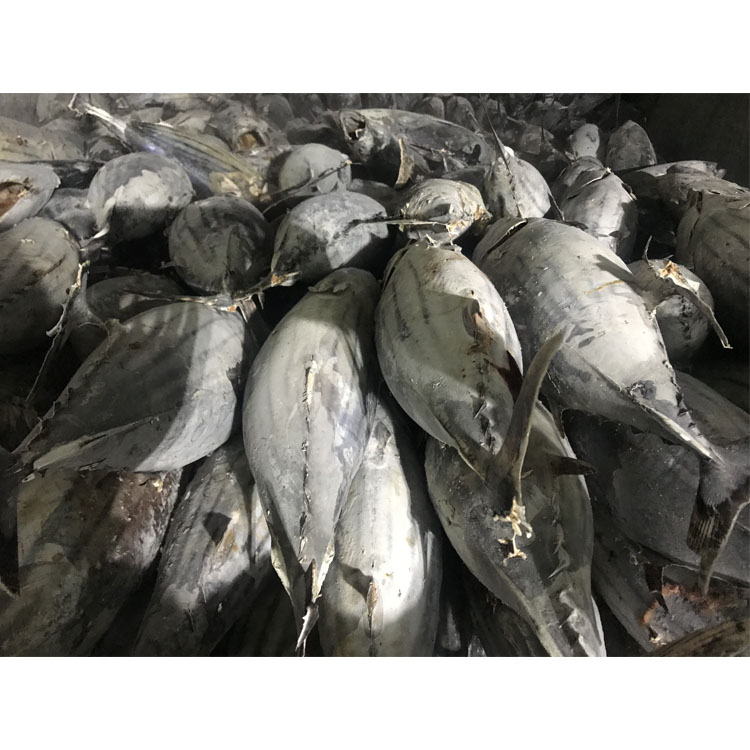 Экспортная рыба из морепродуктов, оптовая продажа, полностью круглая замороженная рыба, морская еда, замороженная рыба, хорошая цена
