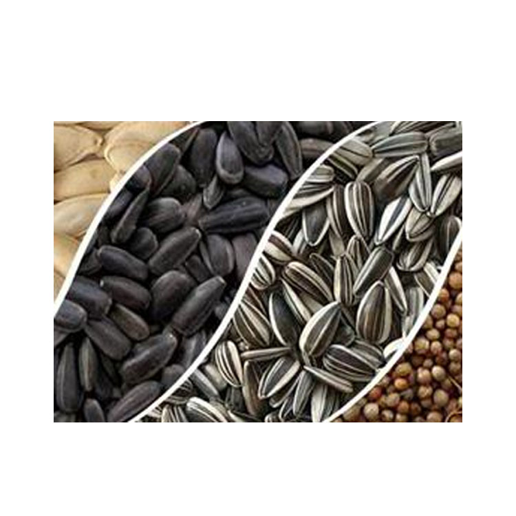 Big Size Black Sunflower Seeds Human Consumption Wholesale Top Quality Sunflower Seeds Packaging Bulgarian Origin New crop