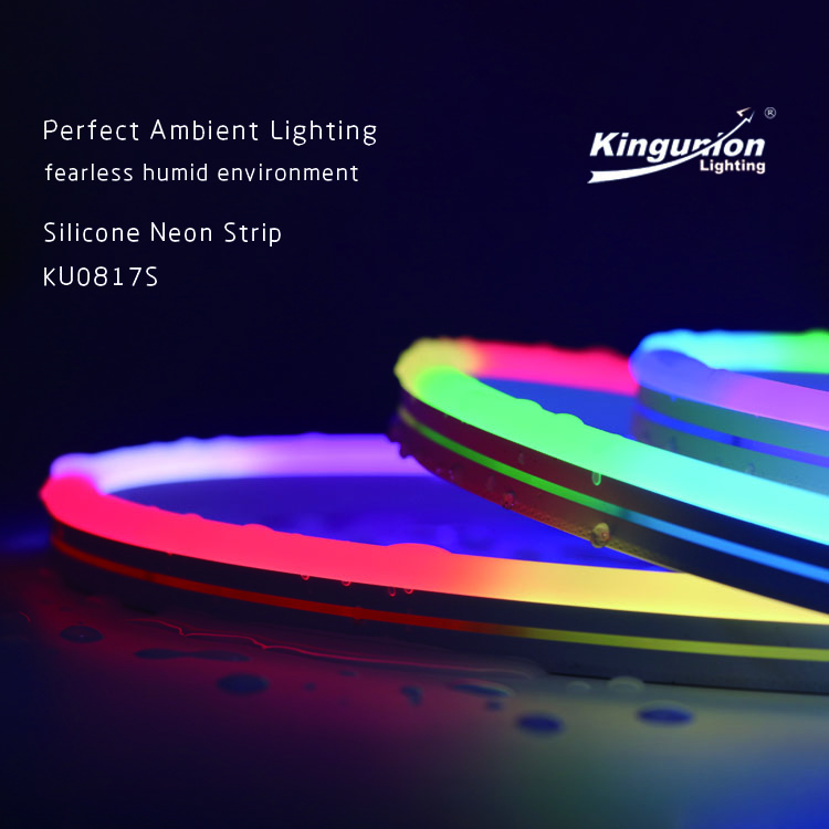 Работа с Tuya Smart Alexa Google Smart водонепроницаемый силиконовый 12v 24v гибкий RGB веревки полосы украшения обычай привел rgbic неоновая подсветка