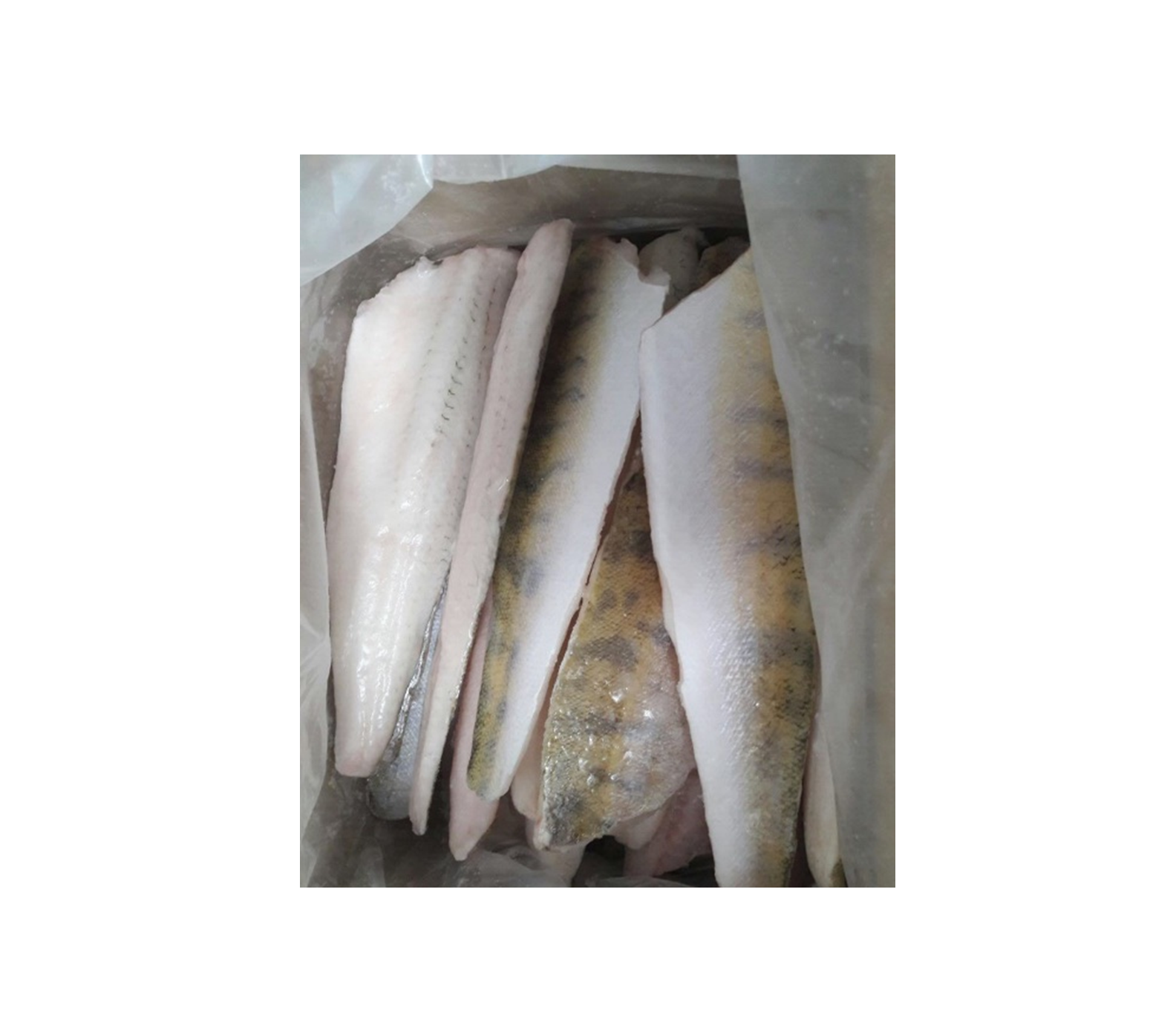 Морепродукты для продажи, 20% остекление, 40-70 г, замороженная филе щуки оптом от поставщика, оптовая цена