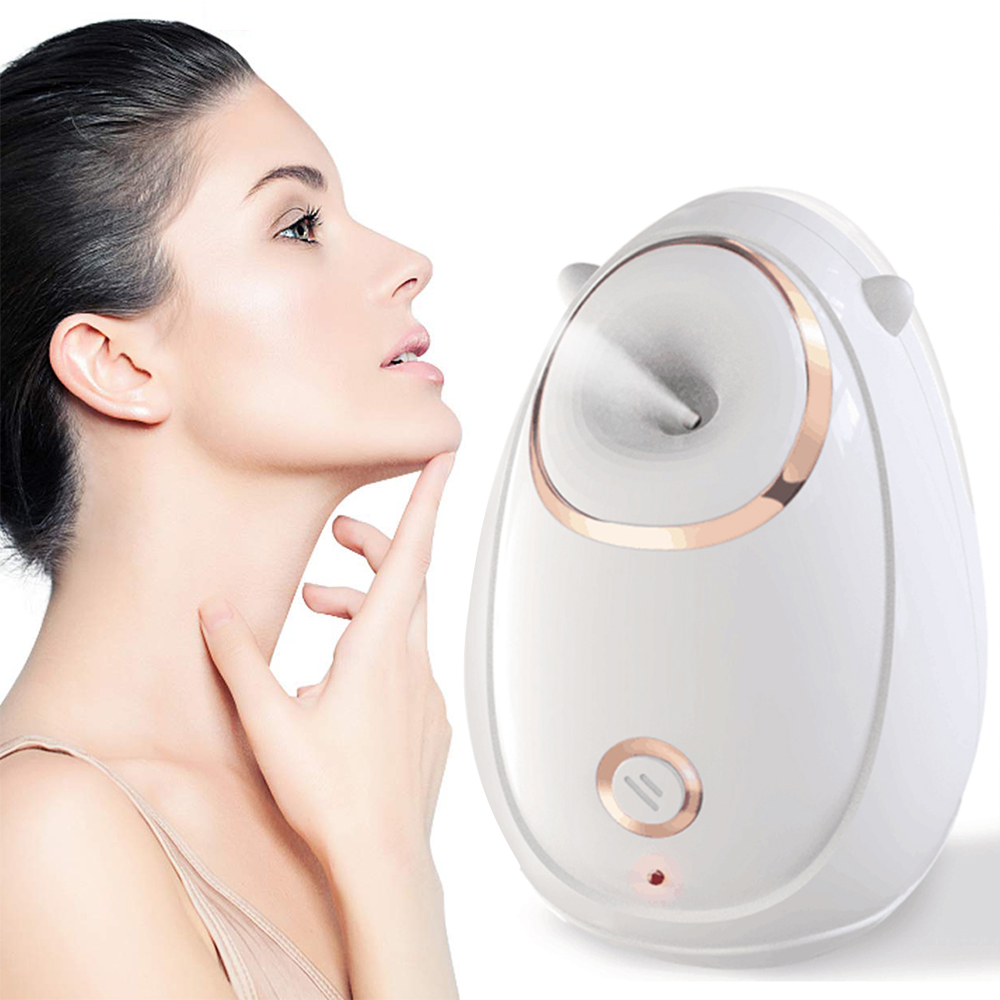 Professional Heating Home Face Portable Facial Steamer Nano for Skin Care