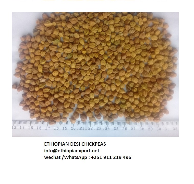 FRESH Grade 2 Grade 3 ETHIOPIAN DESI CHICKPEAS FOR WHOLESALE