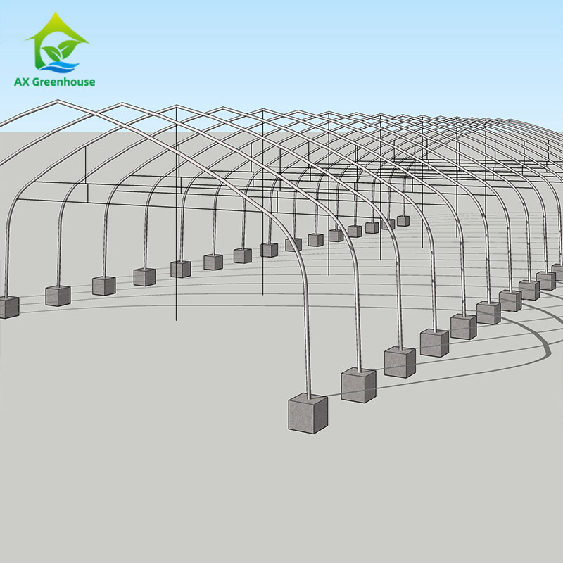 Дешевые парниковых Aquaponic коммерческих парниковых для продажи