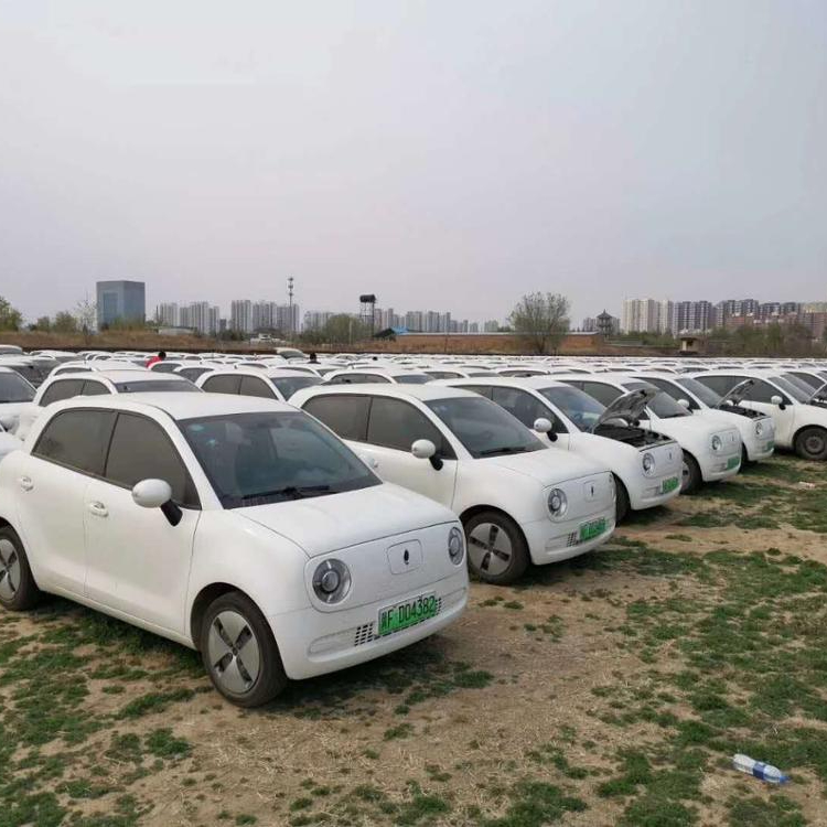 Подержанные электрические автомобили Ora R1 год 2019 с очень дешевой ценой 1000 единиц
