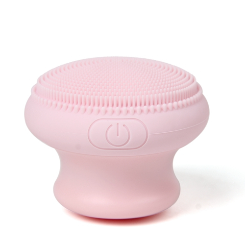 Electric Facial Face Massager And Cleaner Cleaning With dry Battery SK-2002