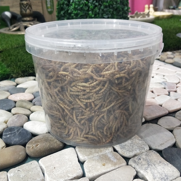 400 г Сушеные Mealworms в трубке корм для домашних животных