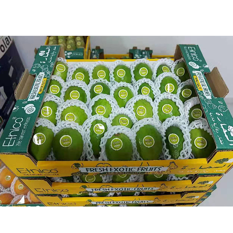 Овальная форма без ГМО Сертифицированный свежий Feijoa Guavasteen фрукты от поставщика гуавы