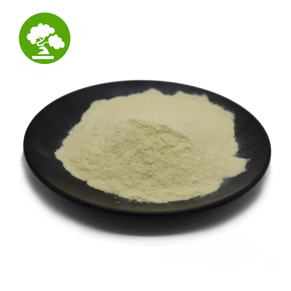 Royal Jelly Extract Honey Royal Jelly Royal jelly powder