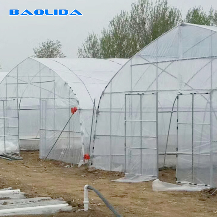 Cheap hot dip galvanized steel structure greenhouse tunnel